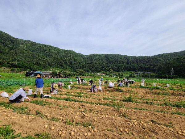 õ ұ ڼȮ(2020. 7. 3)