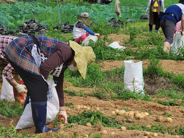 õ ұ ڼȮ(2020. 7. 3)