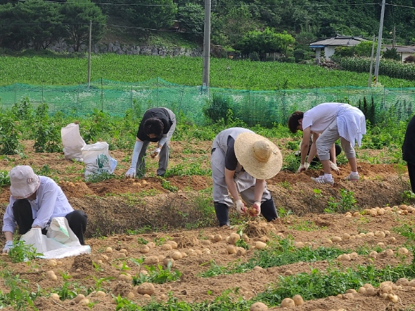 õ ұ ڼȮ(2020. 7. 3)