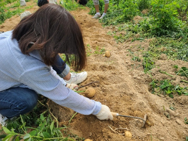 õ ұ ڼȮ(2020. 7. 3)