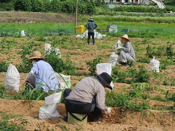 õ ұ ڼȮ(2020. 7. 3)