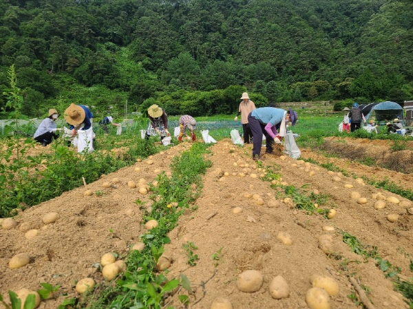 õ ұ ڼȮ(2020. 7. 3)