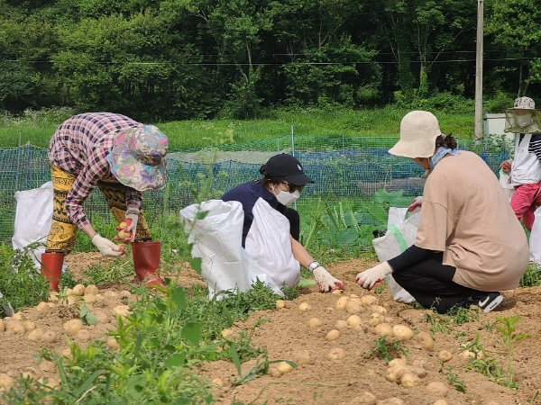 õ ұ ڼȮ(2020. 7. 3)