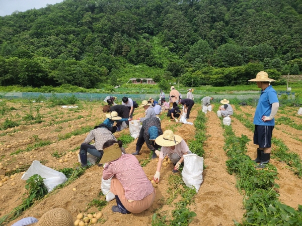 õ ұ ڼȮ(2020. 7. 3)