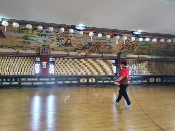 ڷγ19 Ȯ   濪ҵ(2020 91) 