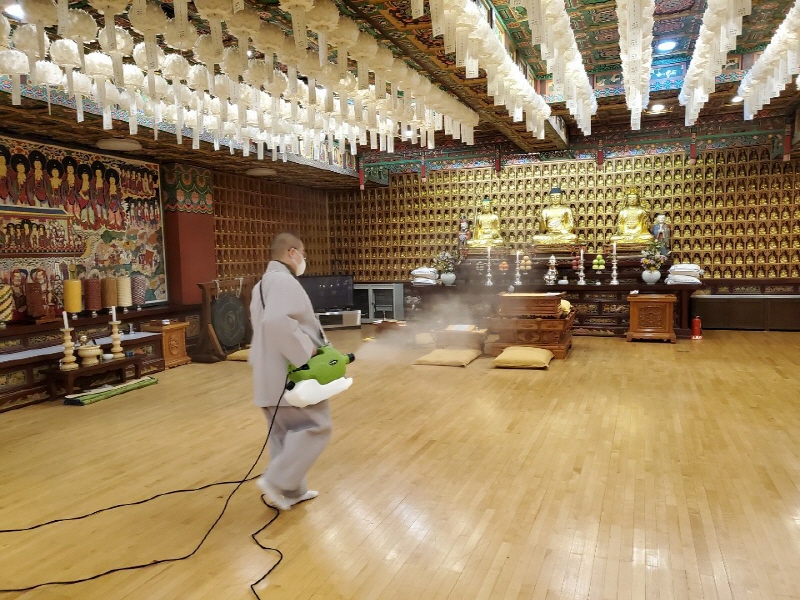 ڷγ19 Ȯ  濪ҵǽ(1130)