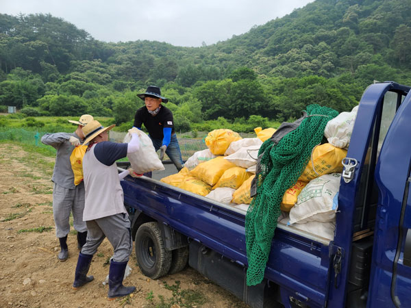 제천 불교마을 감자수확(2022년 6월23일)