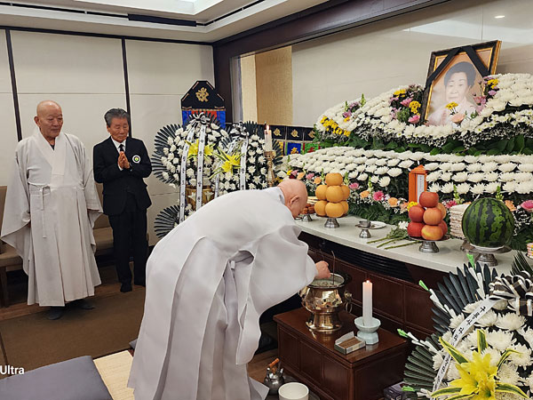 �ѹ����� ���콺�� ����� ȸ�� ���콺�� ��ģ ͺ�̺��� ����� ����(2026�� 3��20��)